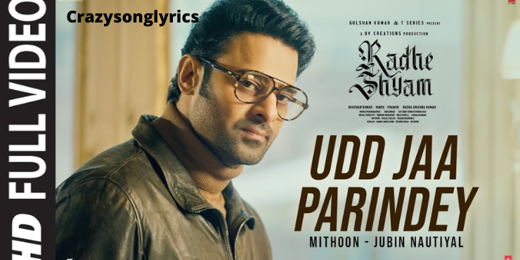 Udd Jaa Parindey Song Lyrics in English | Radheshyam