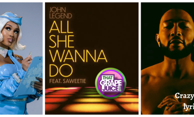 All She Wanna Do Song Lyrics - The Artist John Legend