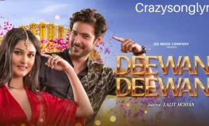 Deewana Deewana Song Lyrics - Shivin Narang & Aayushi Verma | New Hindi Song